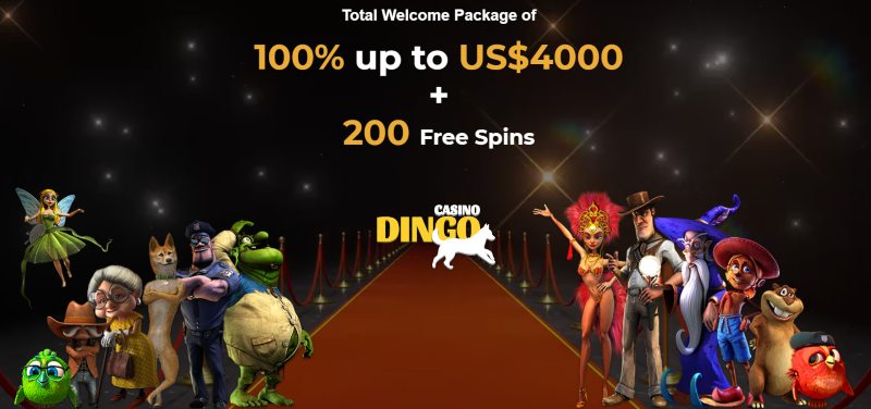 Dingo Casino Bonus